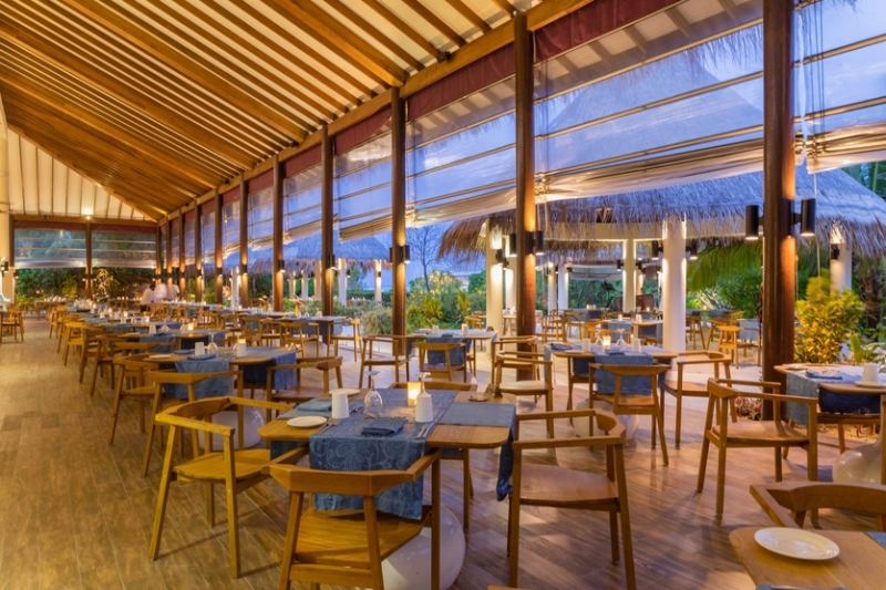 Дизайн и дайвинг: чем славится отель Cocoon Maldives